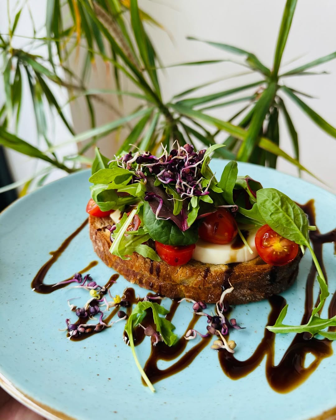 Toast mit Mozzarella und Microgreens